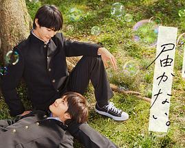 淮南360网站优化